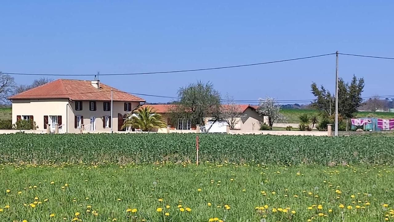 Le Domaine De Laurolie Hotel Gaujacq Exterior foto